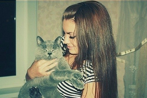красивая девушка держит на руках кота