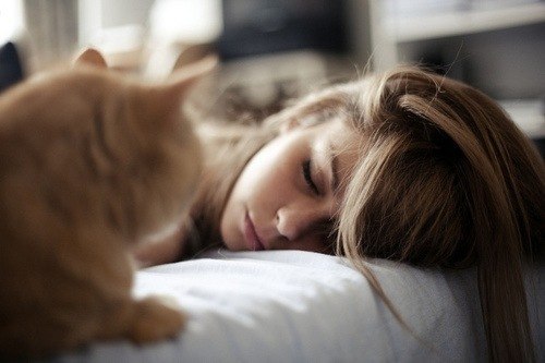 спящая девушка и рыжий котэ