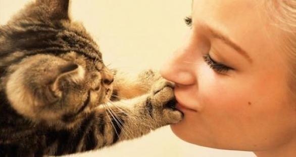 маленький котенок закрывает лапой рот девушке