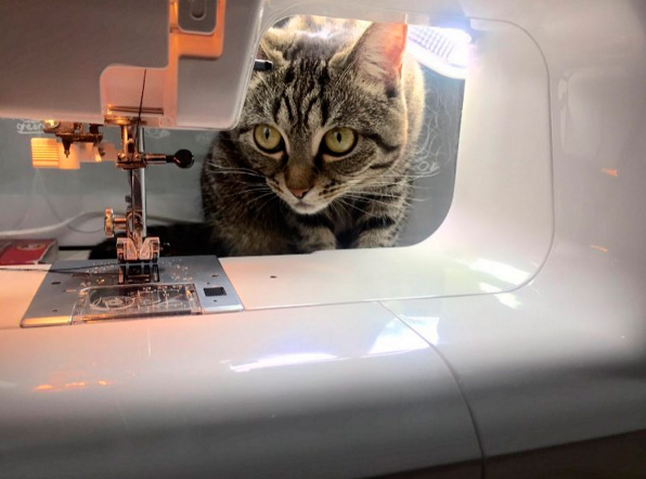 Кот у швейной машинки