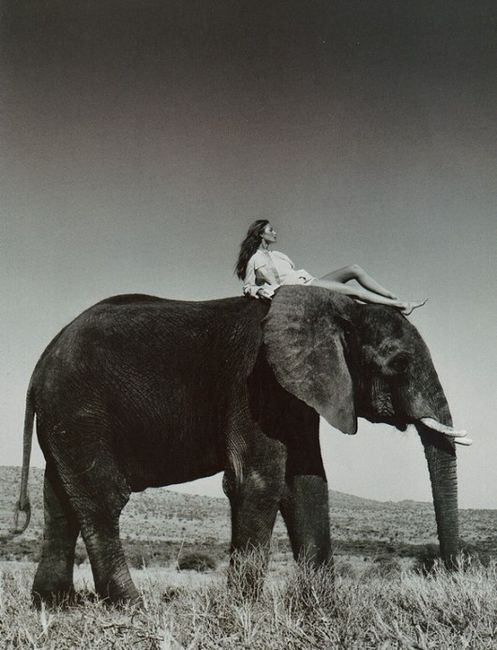 черно-белое фото девушка верхом на слоне
