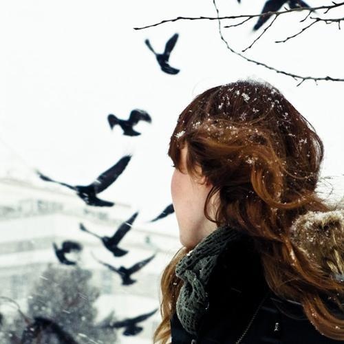 Девушка, снег и взлетающие чёрные птицы