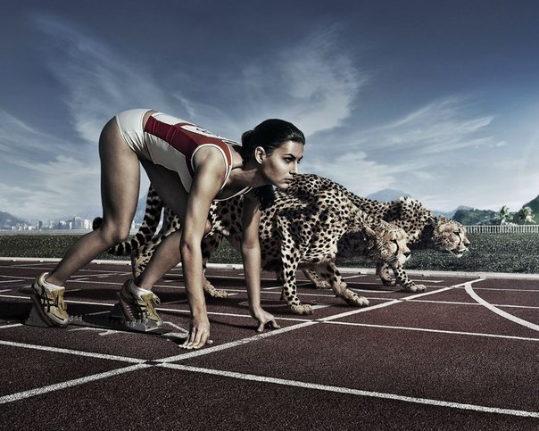 спортивная девушка на старте с леопардами