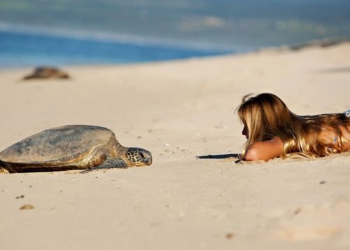 Девушка смотрит на большую черепаху на пляже