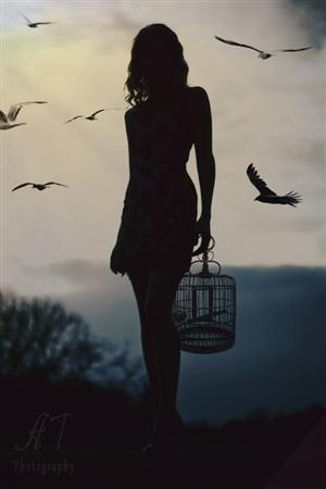 Девушка в полумраке с клеткой для птиц и чайки