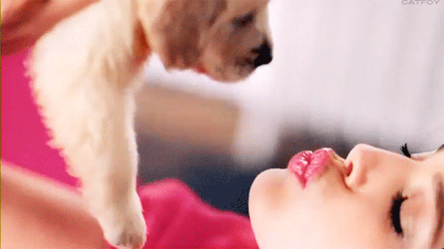 девушка целует маленького щеночка