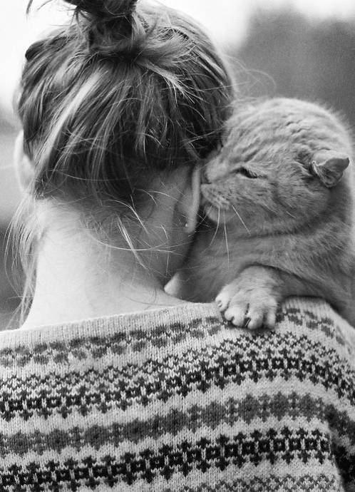 Котик лижет ухо девушке, держащей его на руках