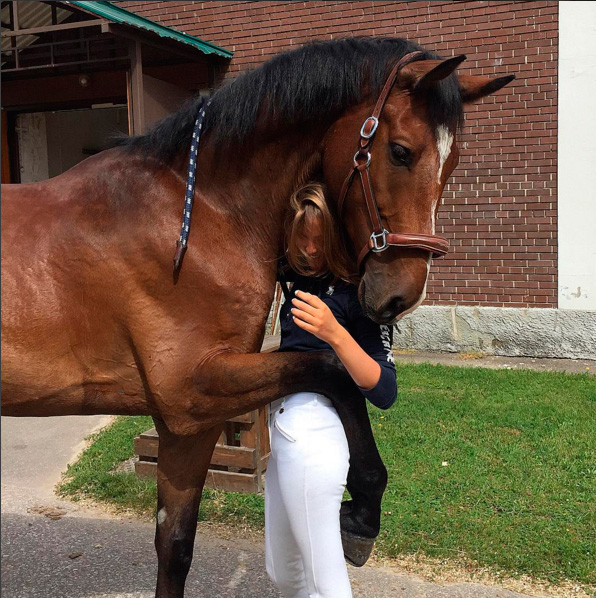 Лошадь обнимает девушку