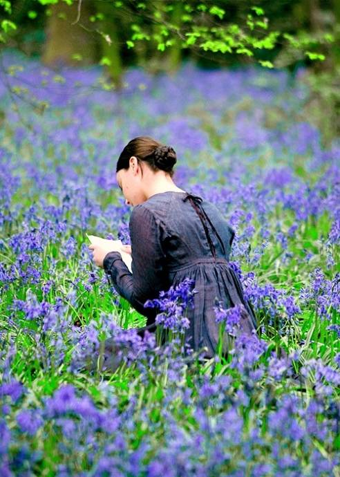 Девушка читает письмо в поле с фиолетовыми цветами
