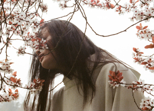 Девушка среди цветущей вишни