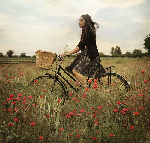 Девушка в поле на велосипеде