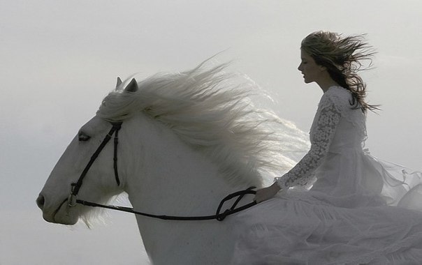 блондинка в белом верхом на белой красивой лошади