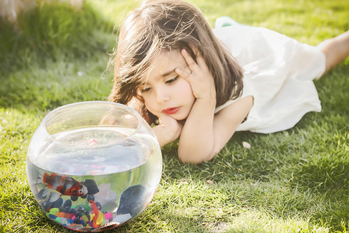 Девочка смотрит на аквариум с рыбкой