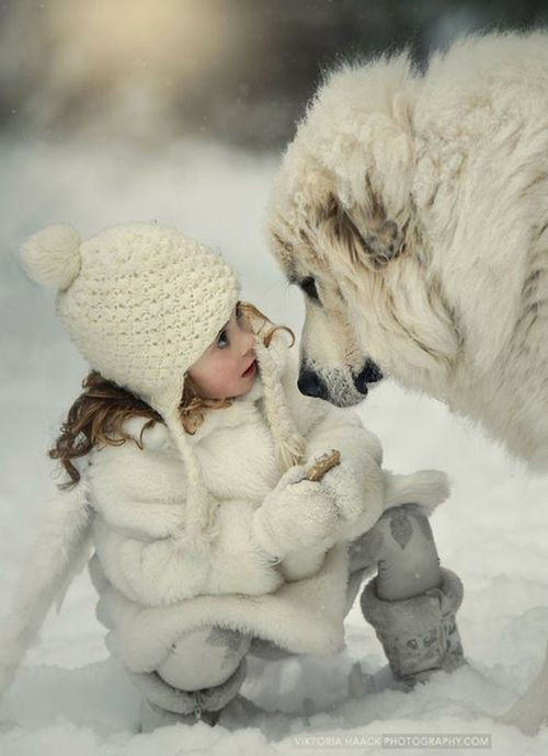 Девочка в белом, большая собака и снег