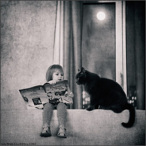 девочка читает сказку котику у окна в полнолуние