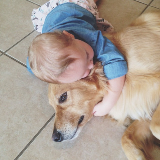 Ребёнок обнимает собаку