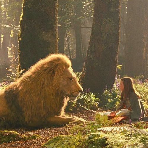 Девочка и лев сидят друг против друга