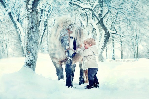Принц на белом коне))