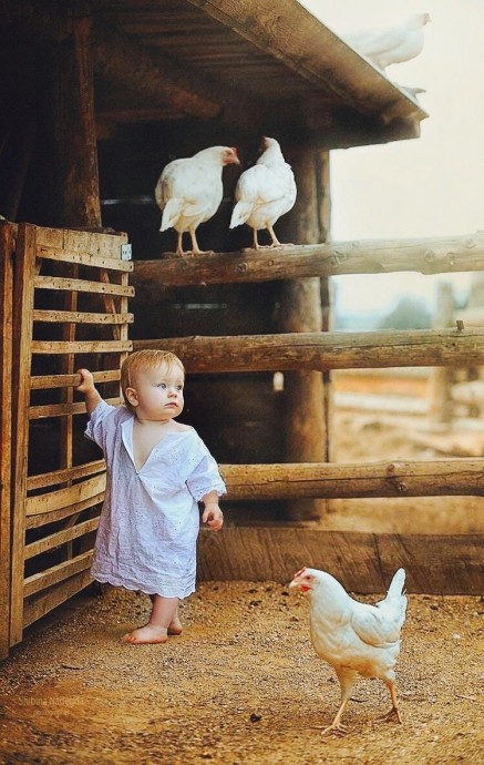 Малыш и куры в деревне