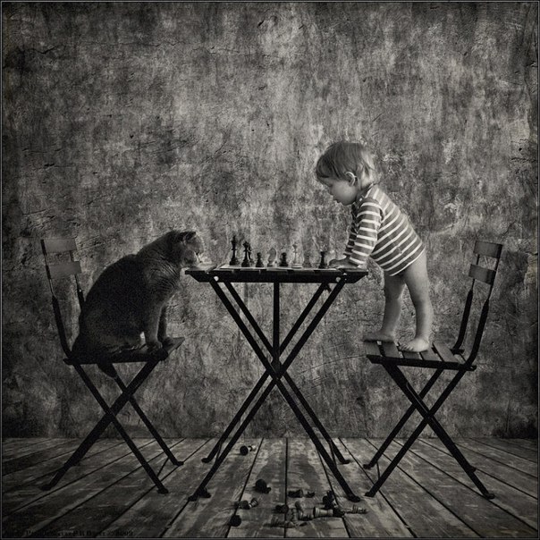 ребенок,играющий с котиком в шахматы