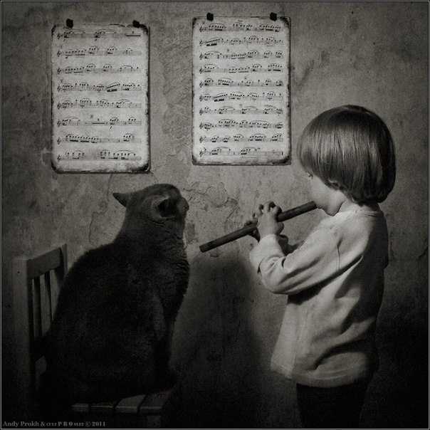 ребенок,играющий на флейте и кот-слушатель