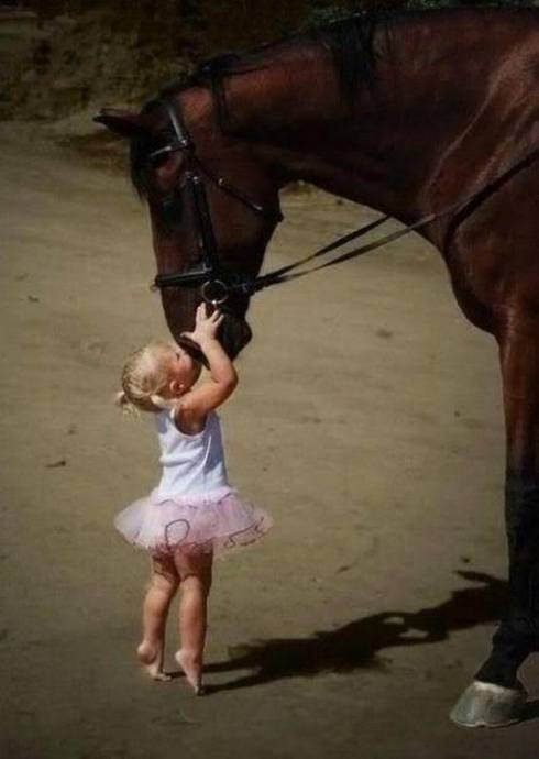 Девочка целует лошадку в морду