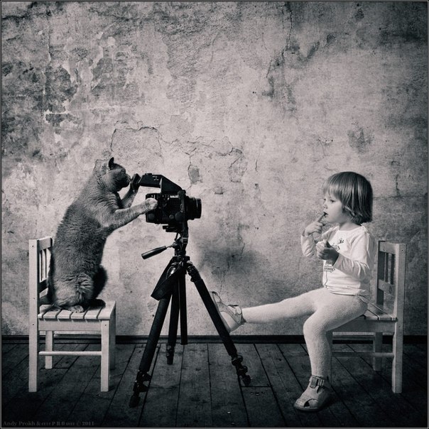 котик фотографирует маленькую девочку на стуле