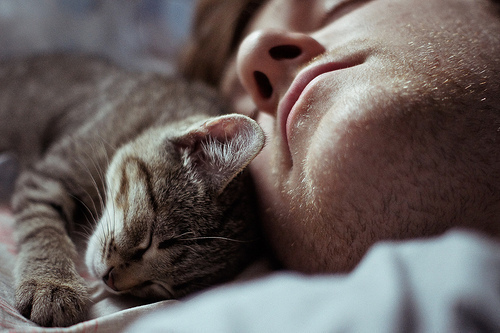 Парень спит рядом с котенком на постели
