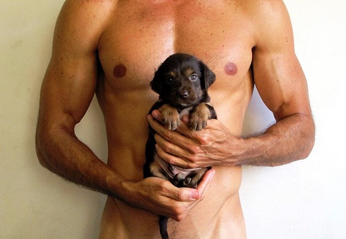 мускулистый парень держит в руках щенка