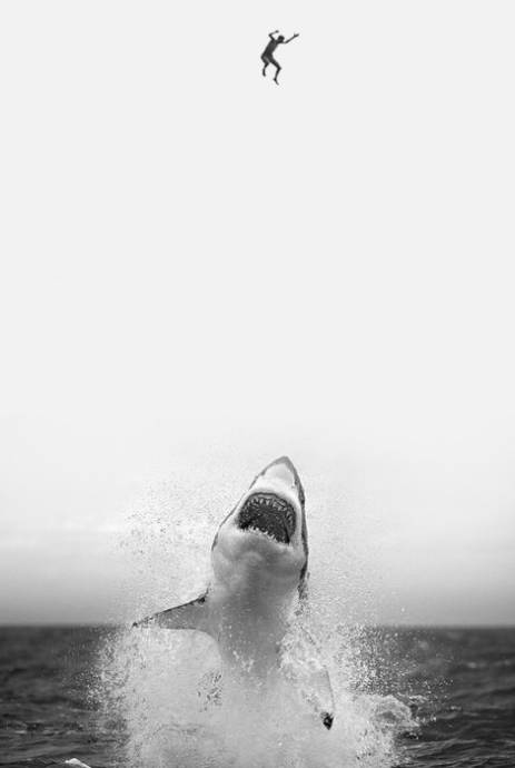 человек летит в пасть акулы