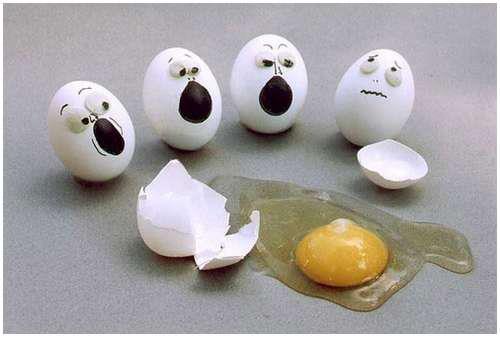 Трагедия в семействе яиц))