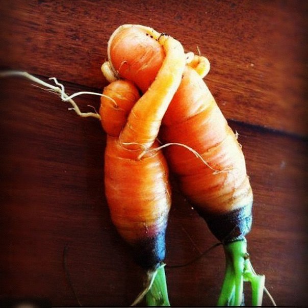 две морковки: Вместе навсегда!))