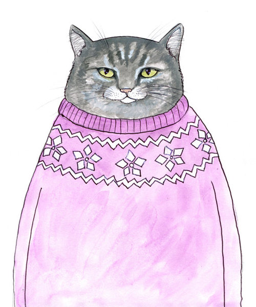 Упитанный кот в розовом свитере