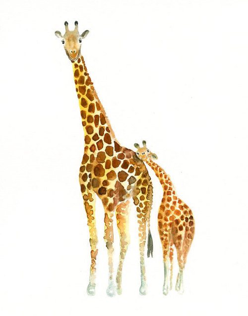 Мама жирафиха и ее малыш