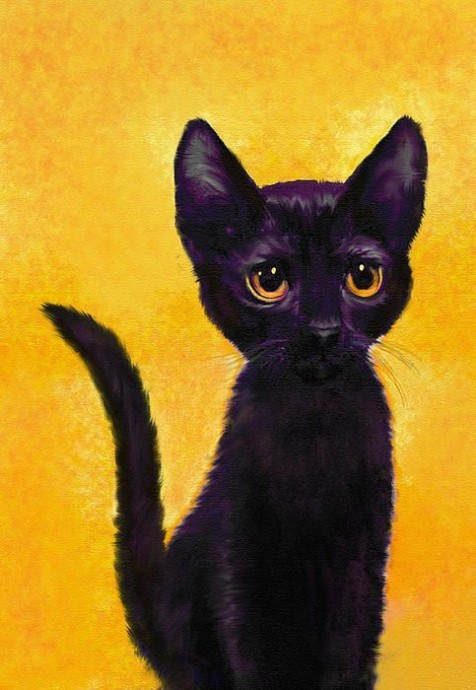 Чёрный котёнок на жёлтом фоне