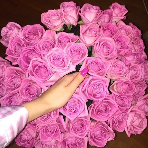 Розовые розы и розовый лак на ногтях
