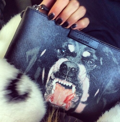 Косметичка с фото бойцовой собаки от Givenchy