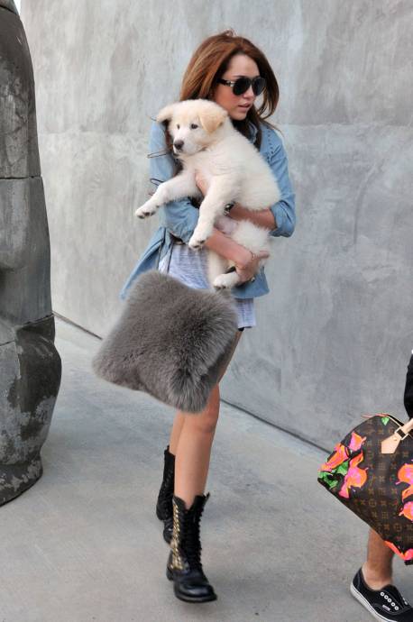 Селена Гомез с щенком на руках и меховой сумочкой
