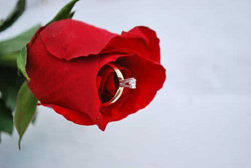 Бриллиантовое кольцо внутри красной розы