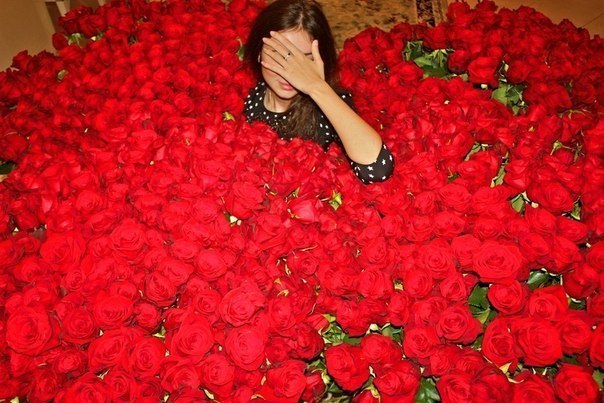 Девушка среди миллиона алых роз