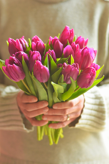 Розовые тюльпаны в руках девушки
