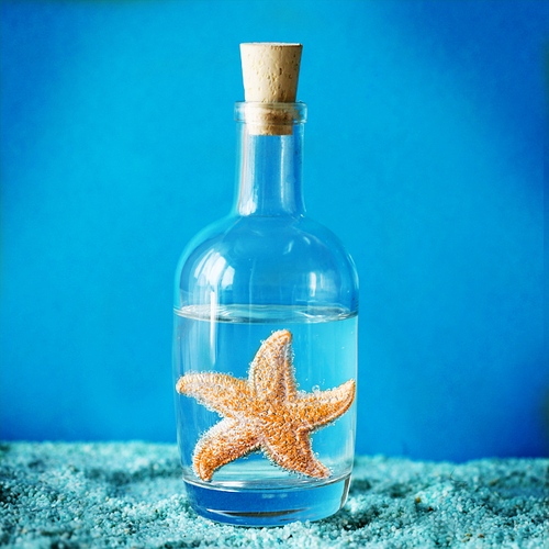 Морская звезда в бутылке